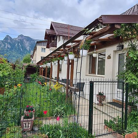 Casa Farcas Буштени Экстерьер фото