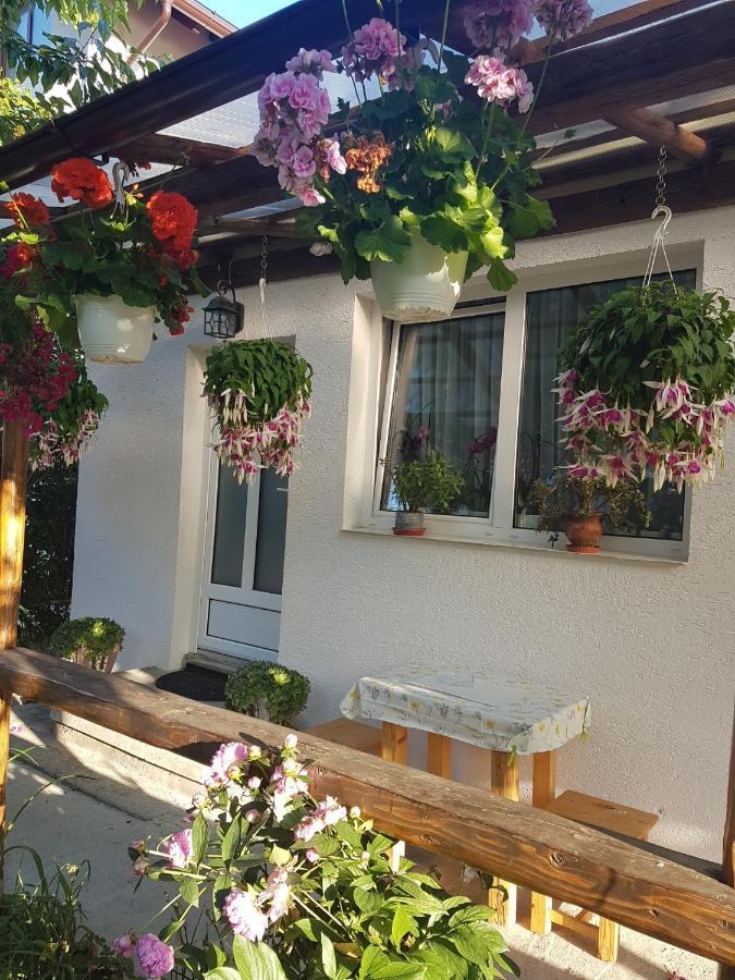 Casa Farcas Буштени Экстерьер фото