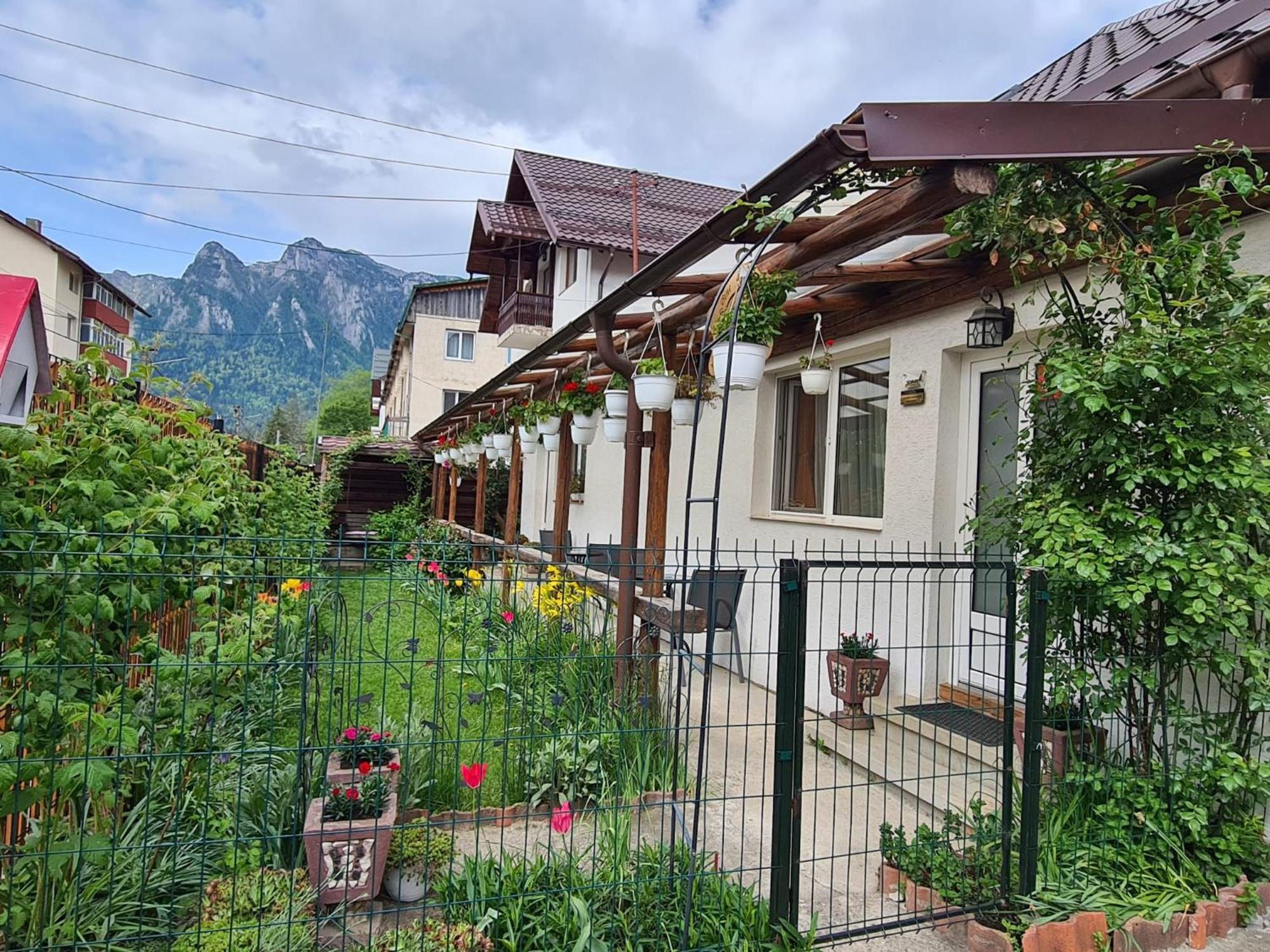 Casa Farcas Буштени Экстерьер фото