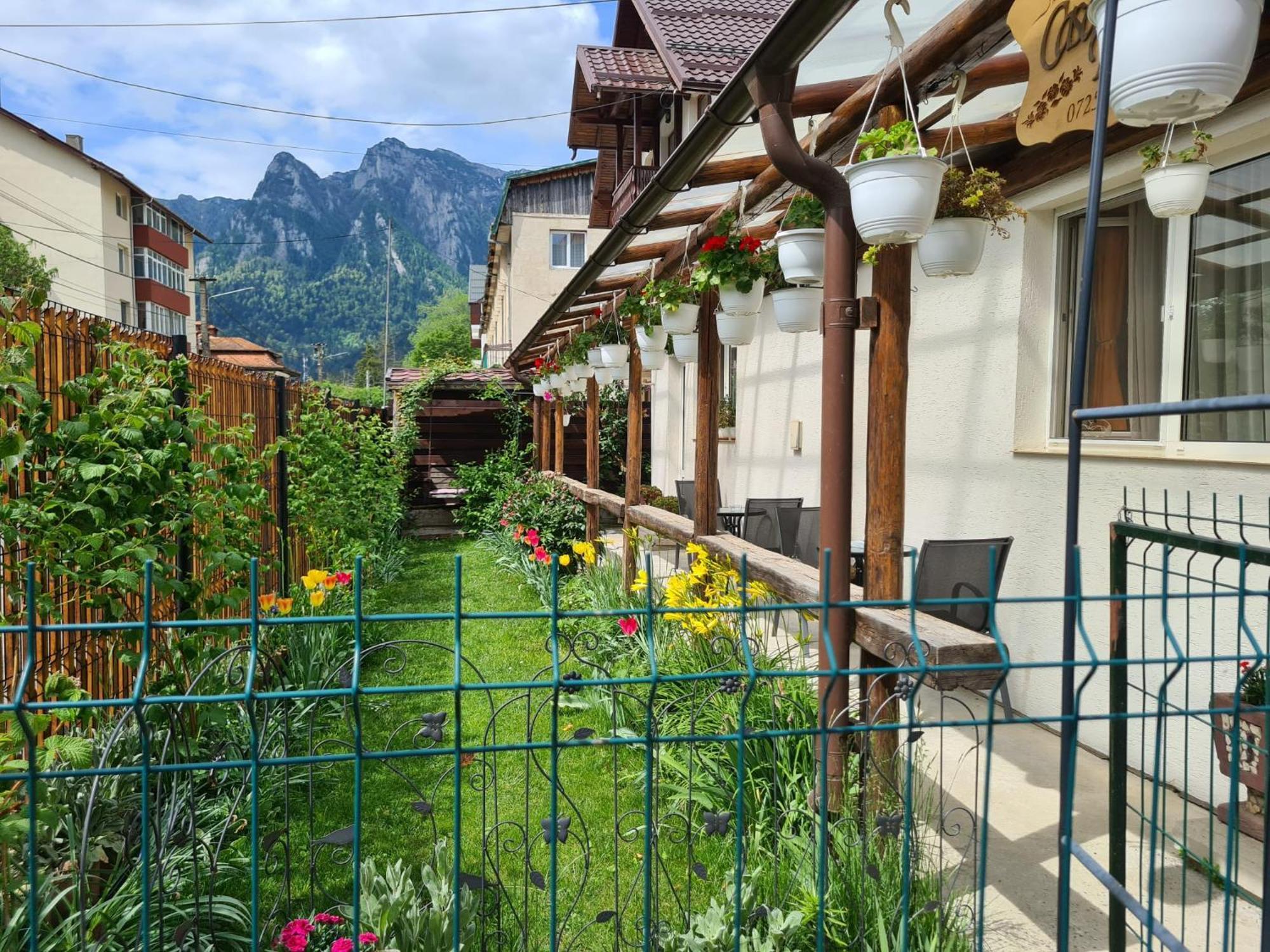 Casa Farcas Буштени Экстерьер фото