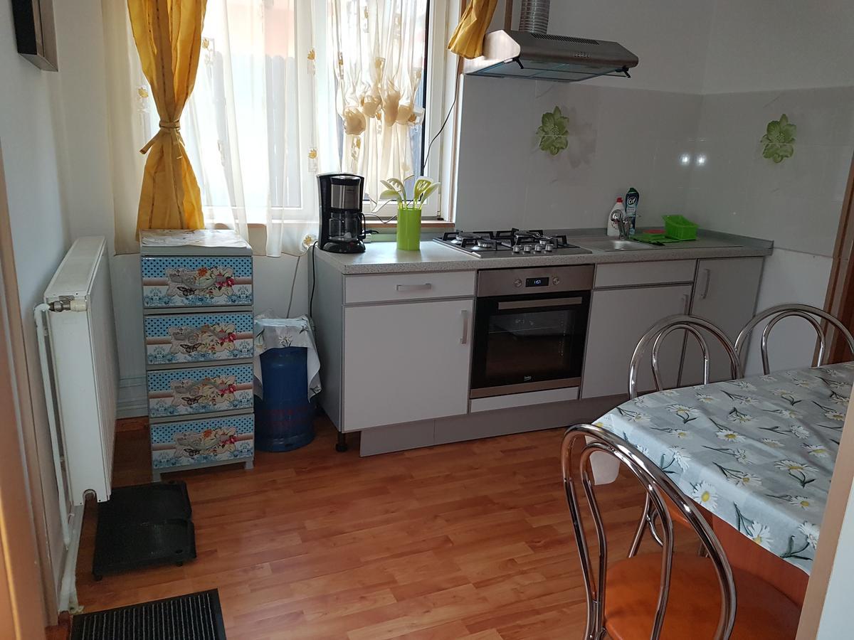 Casa Farcas Буштени Экстерьер фото