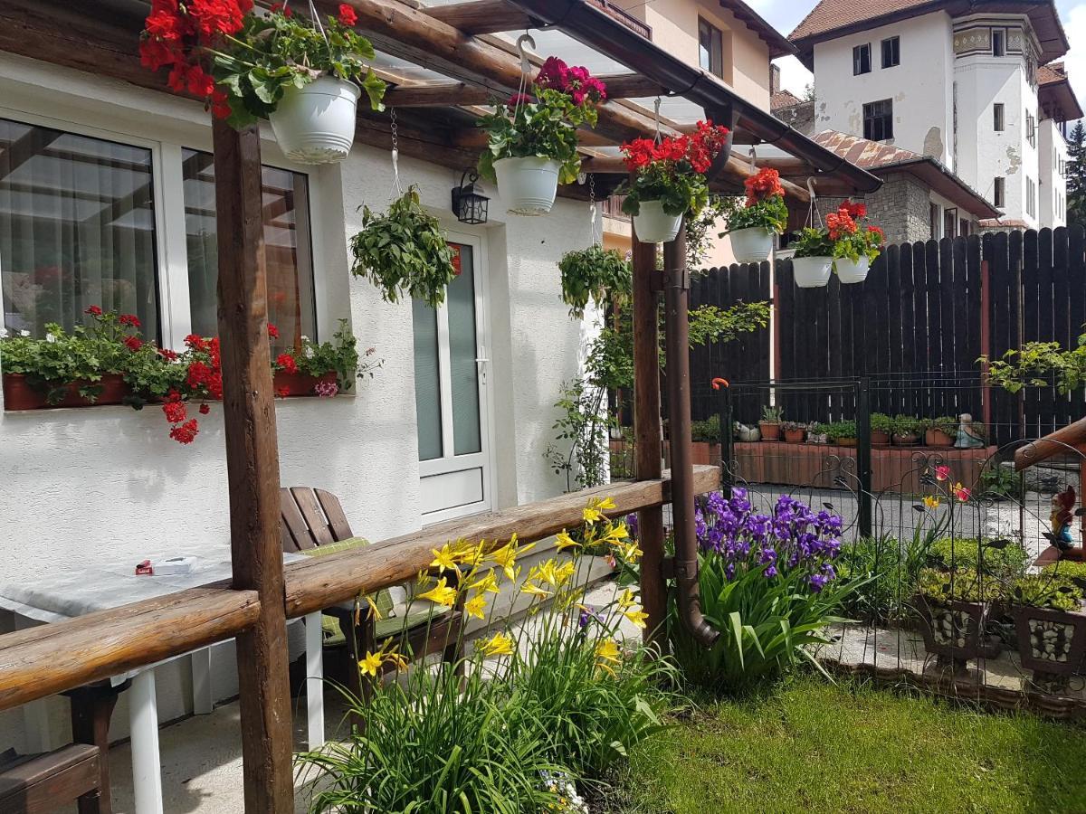 Casa Farcas Буштени Экстерьер фото